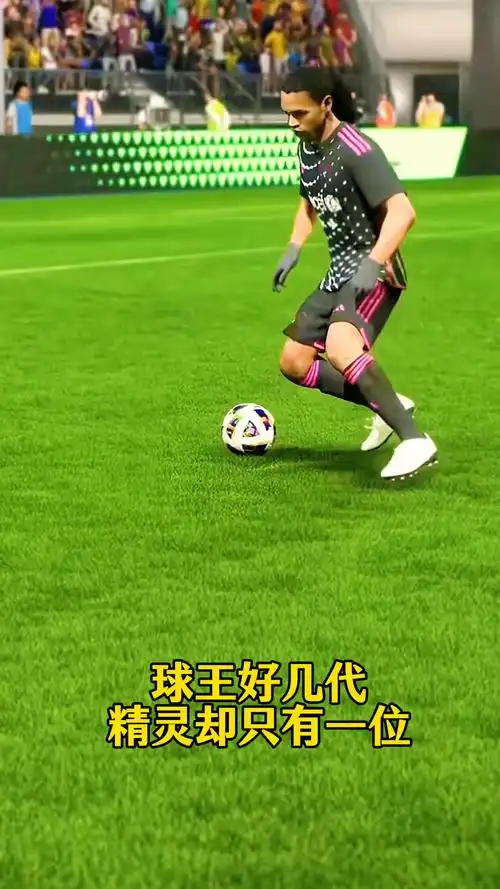 本与智慧的