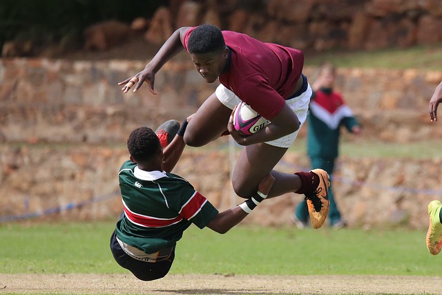 林高远的成 林高远的成