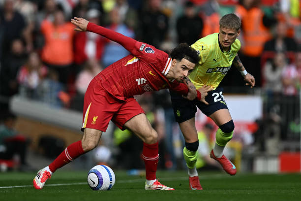 多达十家球 多达十家球